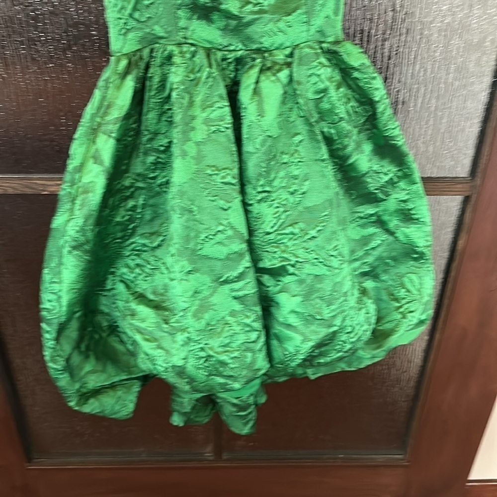 Anthropologie Green Jacquard Bubble Dress size 6 NWOT - Picture 7 of 10